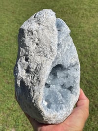Image 11 of Celestite Geode #1801