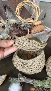 Image 3 of Treasure Pods 