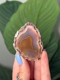 PASTEL PURPLE AND YELLOW LAGUNA AGATE