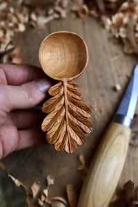 Image 9 of Oak Leaf  Scoop