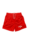 Villi’iage Mesh Shorts 
