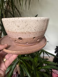 Berry Bowl rosé