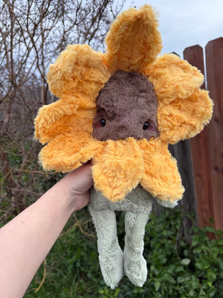 Image of sunflower!