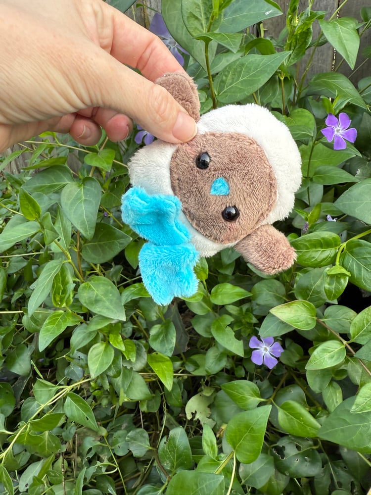 Image of blue footed boobie PREORDER