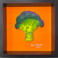 Hulk Broccoli 