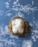 Magnifique camée en coquillage, 19eme siècle.Profil féminin, broche grande taille (4,7x5,5cm)
