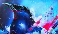Image 1 of MAGPIE  |  HE Edition of 15