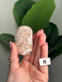 Image 15 of CHOOSE YOUR OWN HQ FLOWER AGATE PALM STONE -MADAGASCAR-