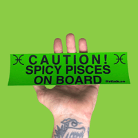 Image 11 of Zodiac Bumper Stickers