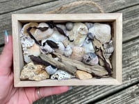 Image 1 of Beach Box #2