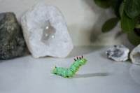 Image 1 of Spike the Caterpillar