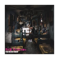 You Never Know (vinyl)
