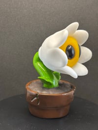 Image 4 of Moon flower (white)
