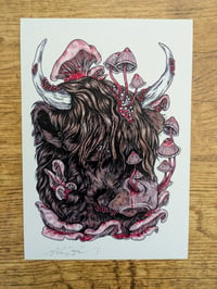 Image 1 of A5 Highland cow print
