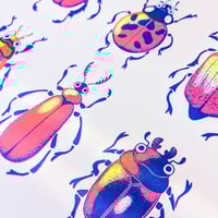 Image 1 of British Beetles - Large Screen Print