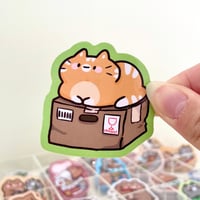 Image 1 of Ginger Cat Box