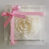 Candle Favours