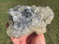 Image 12 of Gemmy Calcite On Druzy Quartz Matrix #1947