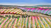 Image 1 of Evening Valley, Barossa SA - Original Painting