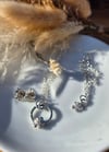 Forget Me Not Collection 