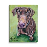 Image 2 of Brown Doberman