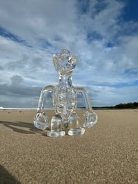 Image 2 of Clear 10mm Standing Turtle Rig 