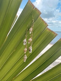 Image 1 of Triple Shell Dangles