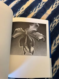 Image 5 of Yoshifumi Hayashi, Traites Secrets, 1994.