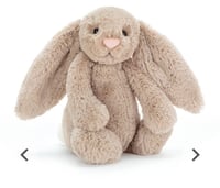 Bashful Beige Bunny