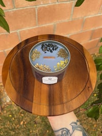 Image 3 of Gato Negro