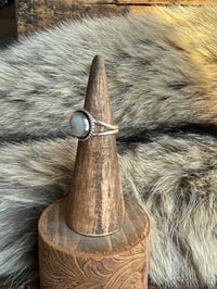 Image 2 of The Moon Drift