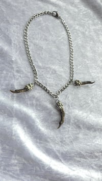 Image 1 of 3 Pheasant toe necklace