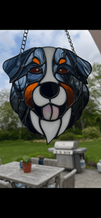 Image 4 of Dog Portrait