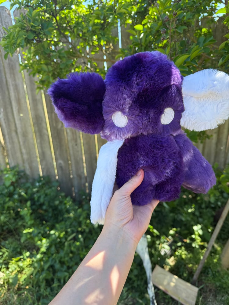 Image of nursery void purple