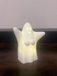 Ghost boobies