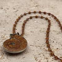Image 1 of Deep Sea Ammonite Shell Necklace
