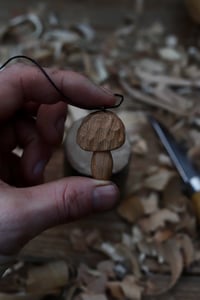Image 5 of Cherry Wood Cep Mushroom 