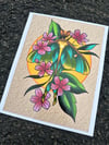 Luna Moth print (8x10)