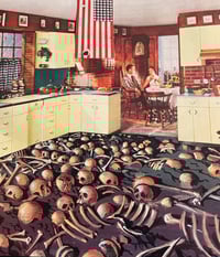 Image 2 of I'm afraid of Americans 