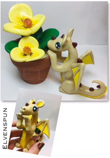 Image of Water Poppies