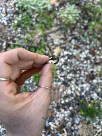 Image 5 of Snowflake obsidian ring - size 6