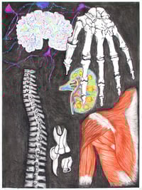 Anatomy Print
