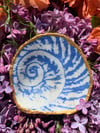 Nautilus in Periwinkle Blue Oyster Shell Dish