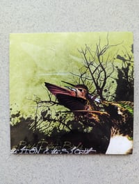 Birds Eating Birds - CD