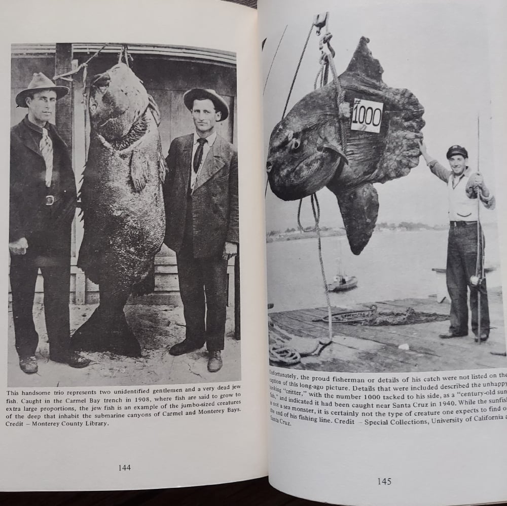 Shipwrecks and Sea Monsters of California's Central Coast, by Randall A. Reinstedt