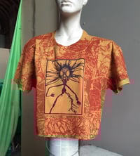 Image 1 of Twig Boy Crop [XL] 