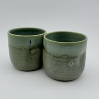 Image 1 of Muted Fern Tumblers 