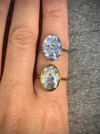 Image 1 of Everblue Bloom