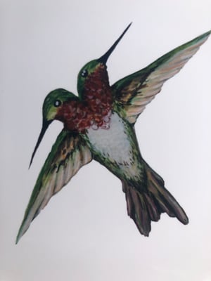 Image of Two headed hummingbird 