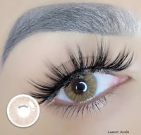 Image 1 of luxcor avela 
